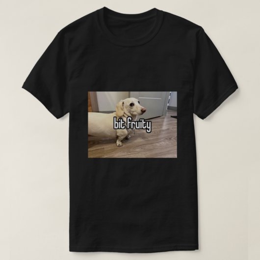 同性愛嫌悪の犬は少しフルーティーで…ステッカー Tシャツ (デザイン正面)