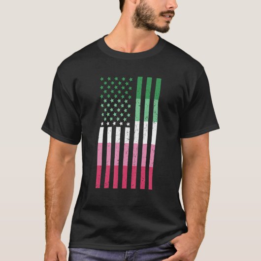 同性愛者アブロセクシュアリティUsa国旗Lgbtプライド愛国心 Tシャツ (正面)