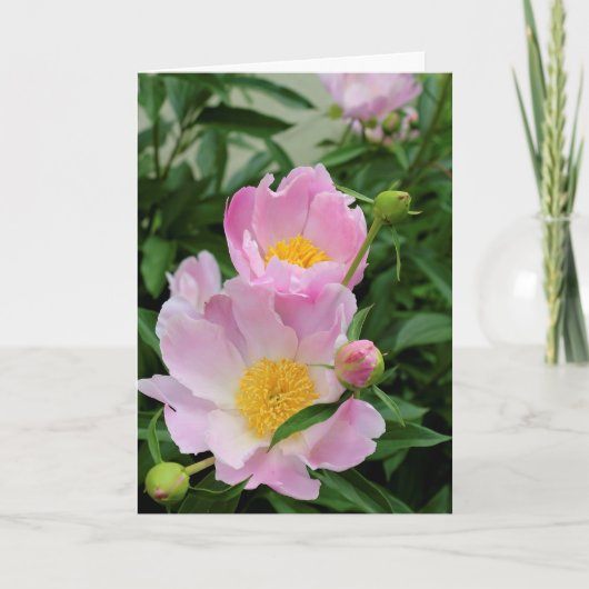 同情カード カード (正面)