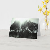 同情カード カード (黄色い花)