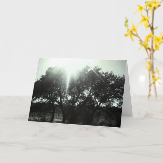 同情カード カード (黄色い花)