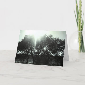 同情カード カード