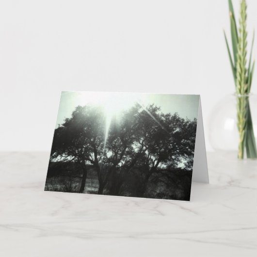 同情カード カード (正面)