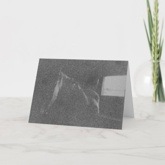 同情カード カード (正面)