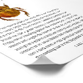 同時性スカラブ ポスター (角)