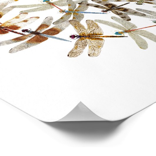 同期トンボ ポスター (角)