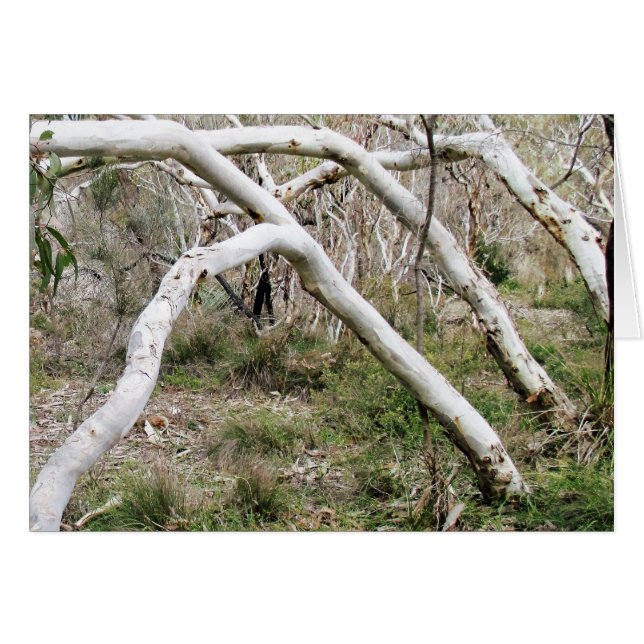 同期性 (正面横)