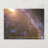 同期性 ポストカード (裏面)