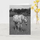 同様に カード (黄色い花)