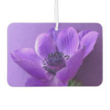 同様の色の背景に紫色のアネモン