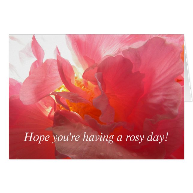 同盟国は上がりました (正面横)