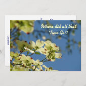 同窓会の学校懇親会の招待状カード 招待状 (正面/裏面)