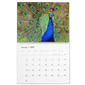 同類の孔雀のカレンダー カレンダー (1月 2027)