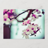 名エレガント前さくらんぼBLOMSギフト券 (裏面)