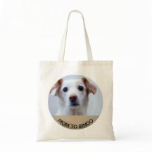 名カスタム前のペット犬の写真