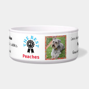 名入れ犬用食器 - リボン- HAMbWG ボウル