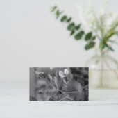 名刺のエンドウ豆のつる植物2 名刺 (スタンド正面)