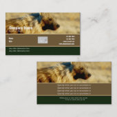 名刺のプロフィールのハイエナのサファリ 名刺 (正面/裏面)