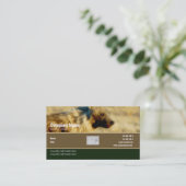 名刺のプロフィールのハイエナのサファリ 名刺 (スタンド正面)