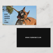 名刺を遊んでいるボクサー 名刺 (正面/裏面)