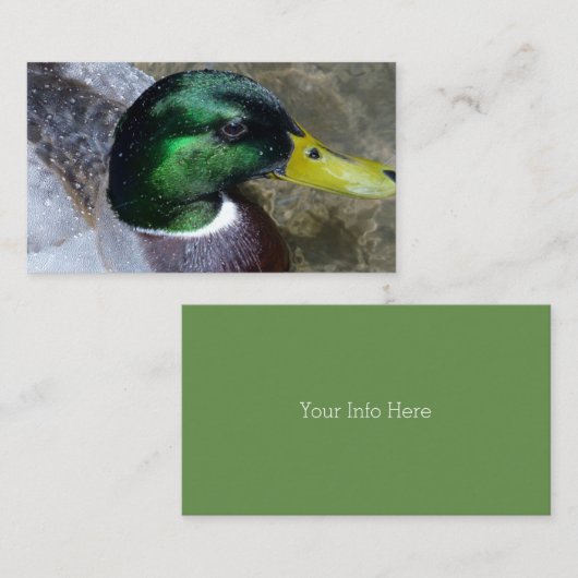 名刺を隠す 名刺 (正面/裏面)