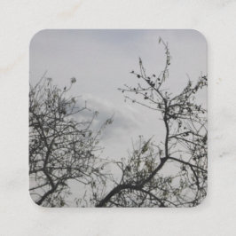 名刺アート&デザインスタイル スクエア名刺