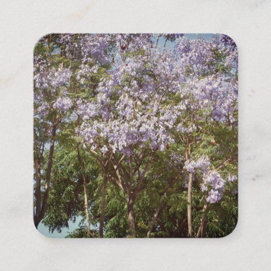 名刺アート&デザインスタイル スクエア名刺 (正面)