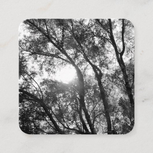 名刺アート&デザインスタイル スクエア名刺 (正面)