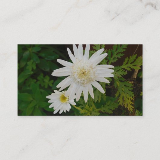 名刺アート&デザインスタイル 名刺 (正面)