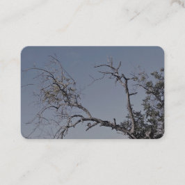 名刺アート&デザインスタイル 名刺