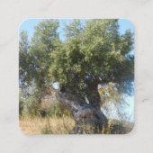 名刺オールドツリーデザインスタイル スクエア名刺 (正面)