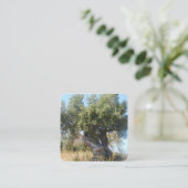 名刺オールドツリーデザインスタイル スクエア名刺 (スタンド正面)