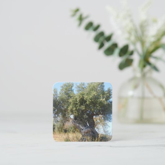 名刺オールドツリーデザインスタイル スクエア名刺 (スタンド正面)