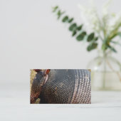 名刺テンプレートarmadillo写真 名刺 (スタンド正面)