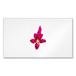 名刺マグネット