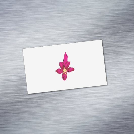 名刺マグネット (インサイチュ)