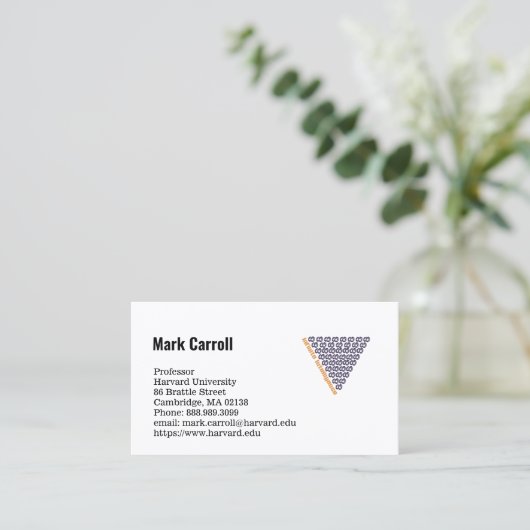 名刺教授 名刺 (スタンド正面)