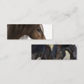 名刺 (正面/裏面)