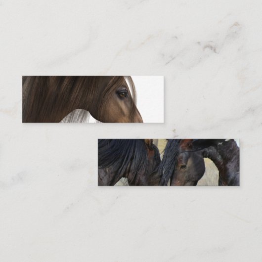 名刺 (正面/裏面)