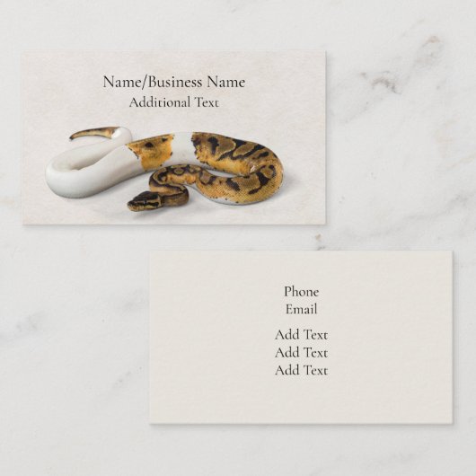 名刺 (正面/裏面)