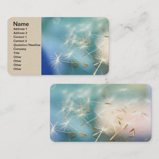  名刺 (正面/裏面)