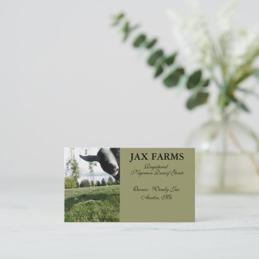 名刺 (スタンド正面)