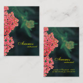 名刺 (正面/裏面)