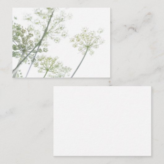 名刺 (正面/裏面)