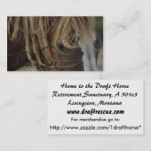 名刺 (正面/裏面)