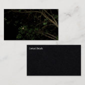 名刺 (正面/裏面)