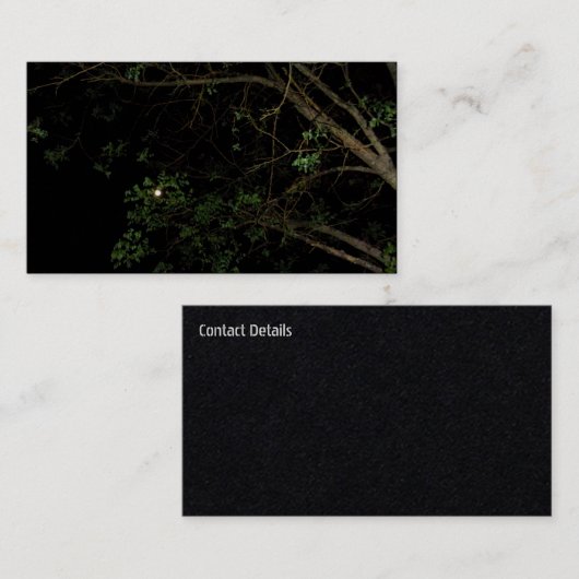 名刺 (正面/裏面)