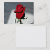 名刺 (正面/裏面)