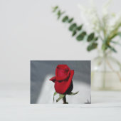 名刺 (スタンド正面)