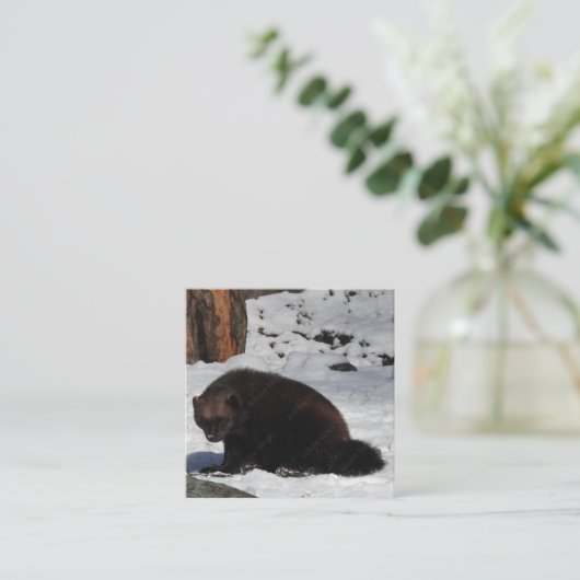 名刺 (スタンド正面)